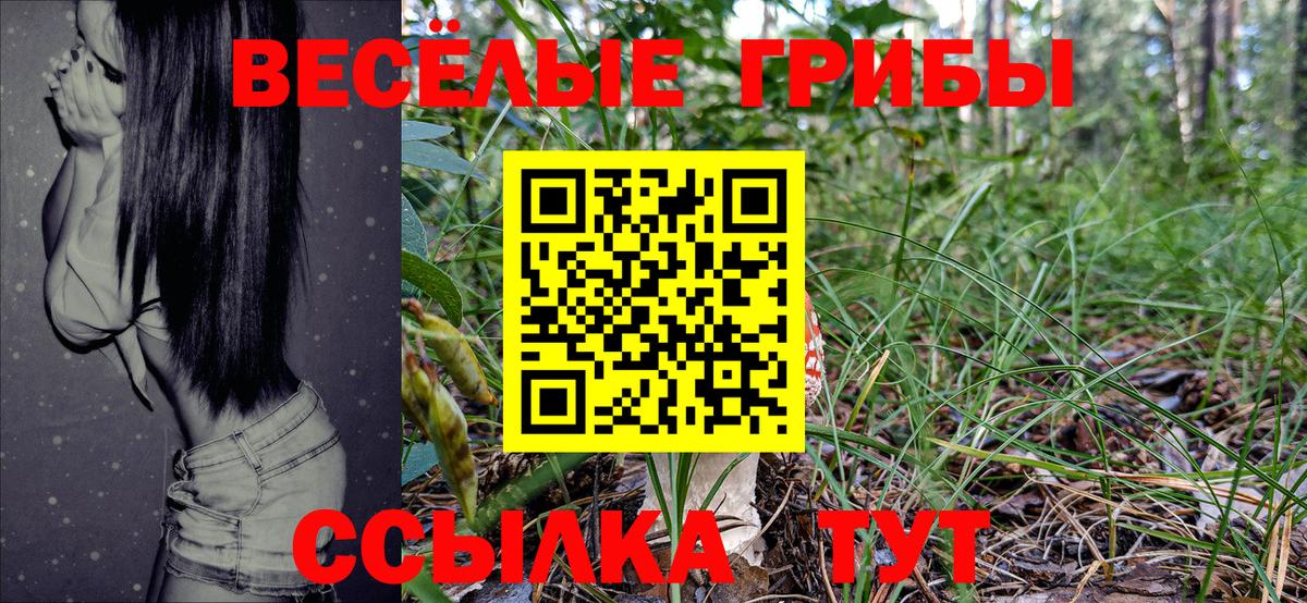 Моздок  Галлюциногенные грибы Magic Shrooms  Вход с VPN 